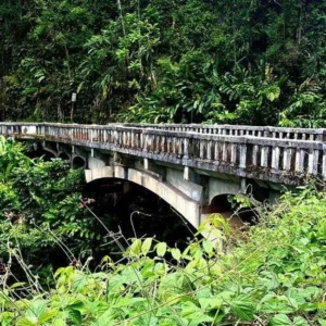 Private guided tour halfway to Hana with scenic stops