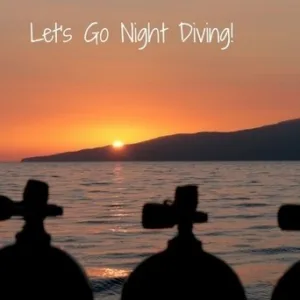 Scuba diver exploring coral reefs during a guided night dive