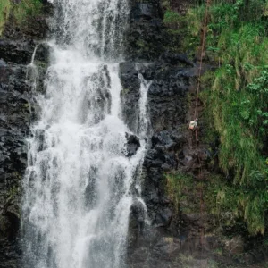 Adventurers rappelling down lush tropical waterfall cliffs