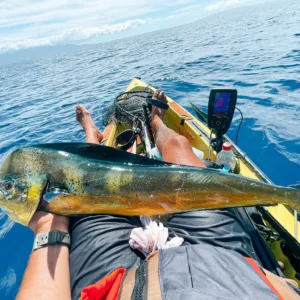 Pelagic kayak fishing charter exploring Maui's deep waters