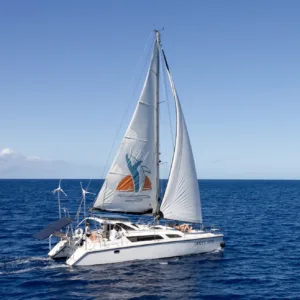 Private sailing charter exploring beautiful island coastlines