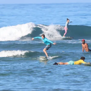 Group learning to surf together on gentle island waves