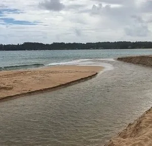 Semi-private surf lesson tailored for small groups