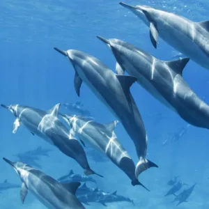 West Maui mountains with hiking trail in foreground