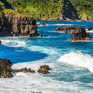 Winding coastal road with lush vegetation on Maui