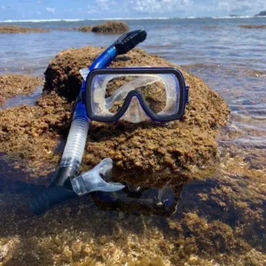 Adult dry snorkel and mask set ready for diving