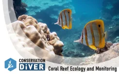 Conservation diving tour with coral reef ecology and certification