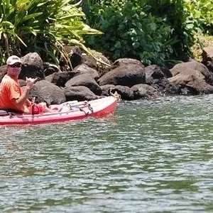 Kayak rental for exploring calm coastal waters
