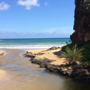 Kayakers paddling on calm river surrounded by forest