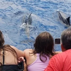Two and a half hour morning snorkeling tour in Kona