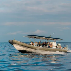 Early morning super-raft snorkeling tour in Kona waters