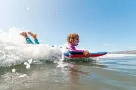 Body boards lined up for rental on sunny beach