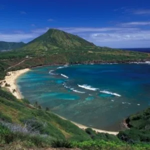 Eco-friendly island tour around Waikiki with Aloha spirit