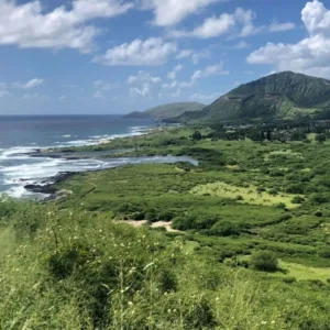 Friendly group snorkeling along Oahu’s sunny south shore