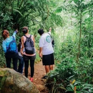 Friendly hiking experience exploring Oahu’s Waikiki trails