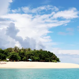 Group hiking through lush trails on Oahu Island