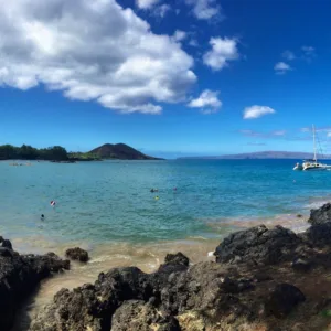 Early morning scuba dive with group exploring underwater reef