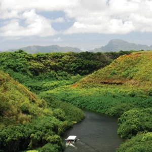 Tour group visiting Waimea Canyon and Wailua River sights