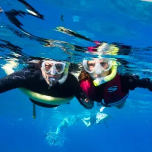 Snorkel at Molokini crater and Turtle Arches near Ma'alaea