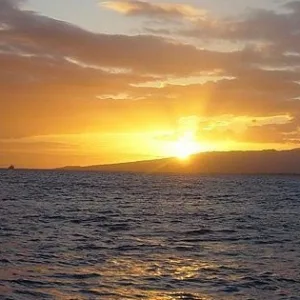 Morning cruise enjoying mimosas and island coastal views