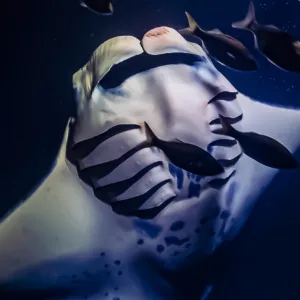 Experience snorkeling with manta rays under starry skies