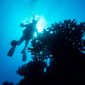 Three tanks lined up on boat for Niihau dive