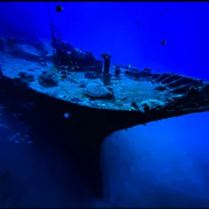 Certified divers exploring underwater shipwrecks and coral reefs