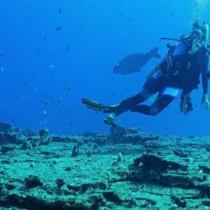 Student learning scuba diving skills during PADI open water class