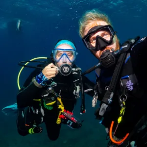 Scuba divers gearing up for two open water referral dives
