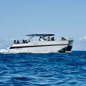 Morning boat trip along the dramatic Na Pali Coast