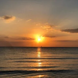 Enjoy a sunset whale watching cruise off Kauai's coast