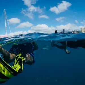 Snorkelers exploring vibrant marine life on Oahu tour