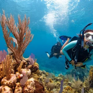 Diving the Oahu shipwreck with shallow reef exploration