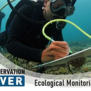 Scientist conducting underwater ecological monitoring research