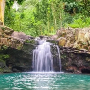 Hikers exploring lush rainforest trails near waterfalls