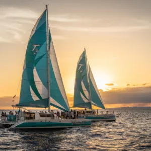 Sailing at sunset along Maui's coast