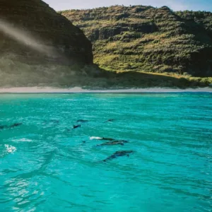 Private boat tour exploring coastal sights and snorkeling