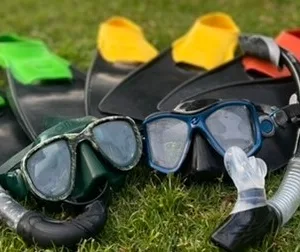 Snorkel gear including masks and fins available for rent