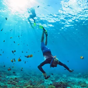 Private snorkeling adventure exploring Lana’i’s underwater world
