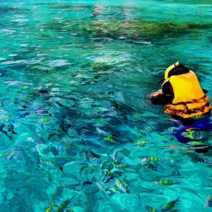 Weekly rental gear available for outdoor activities