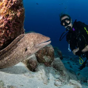 Scuba diver exploring underwater during PADI deep diver course