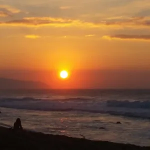 Guests enjoying paddle boarding during a sunset turtle tour