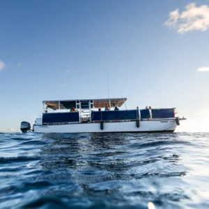 Scenic private boat tour along Waikiki coastline
