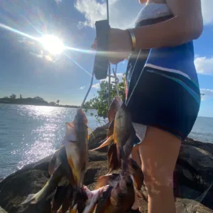 Anglers fishing from boat in calm coastal waters