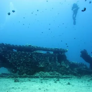 Two tank scuba diving adventure in clear waters