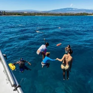 Snorkelers observing whales from power catamaran vessel