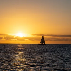 Relaxing sunset cruise along Waikiki coastline