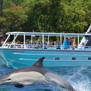 Snorkeling at Captain Cook reef along Kona coast