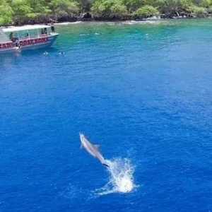 Private snorkeling charter along scenic island coast