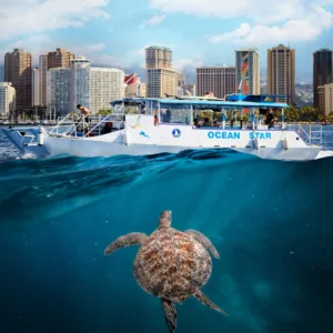 Waikiki snorkeling tour with turtle sightings and surprise gift